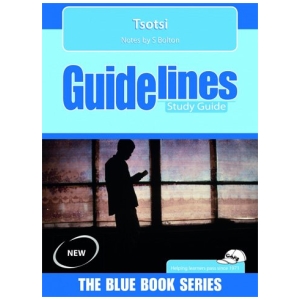 Tsotsi Literature Guide
